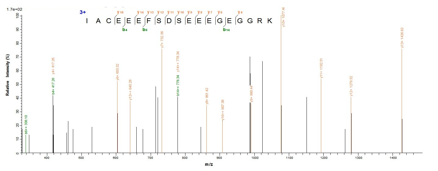 Human HDAC1 protein