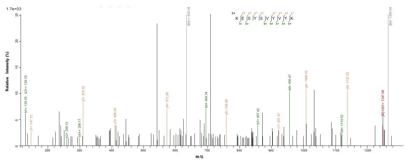 Mouse Hist1h2bm protein