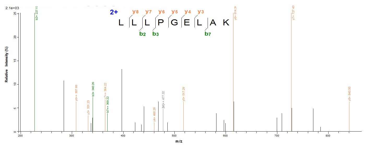 Mouse Hist1h2bm protein