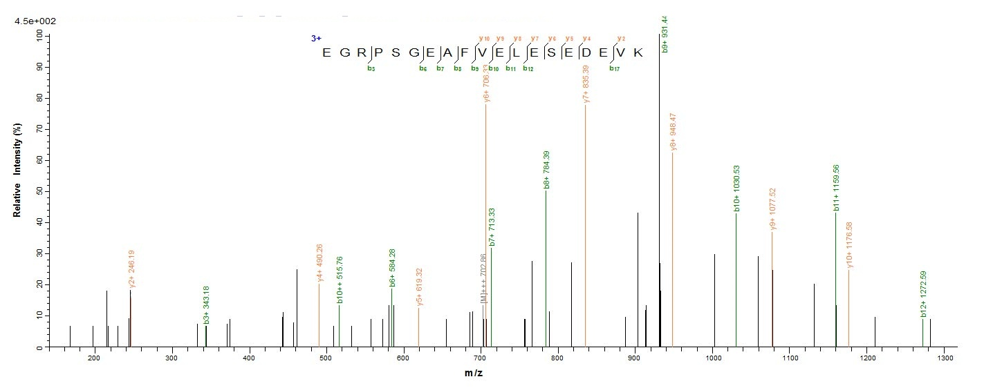 Human HNRNPH1 protein
