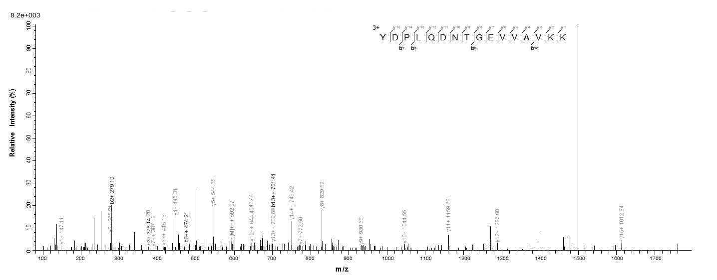 Human JAK2 protein