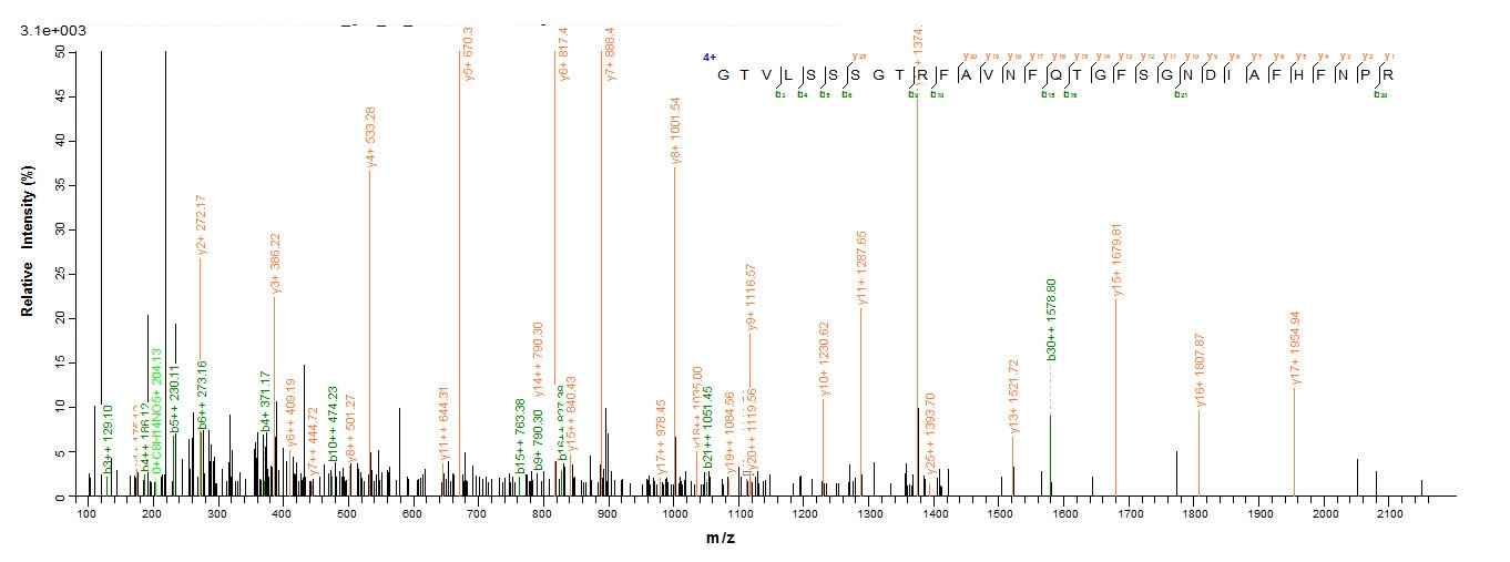 Human LGALS9 protein