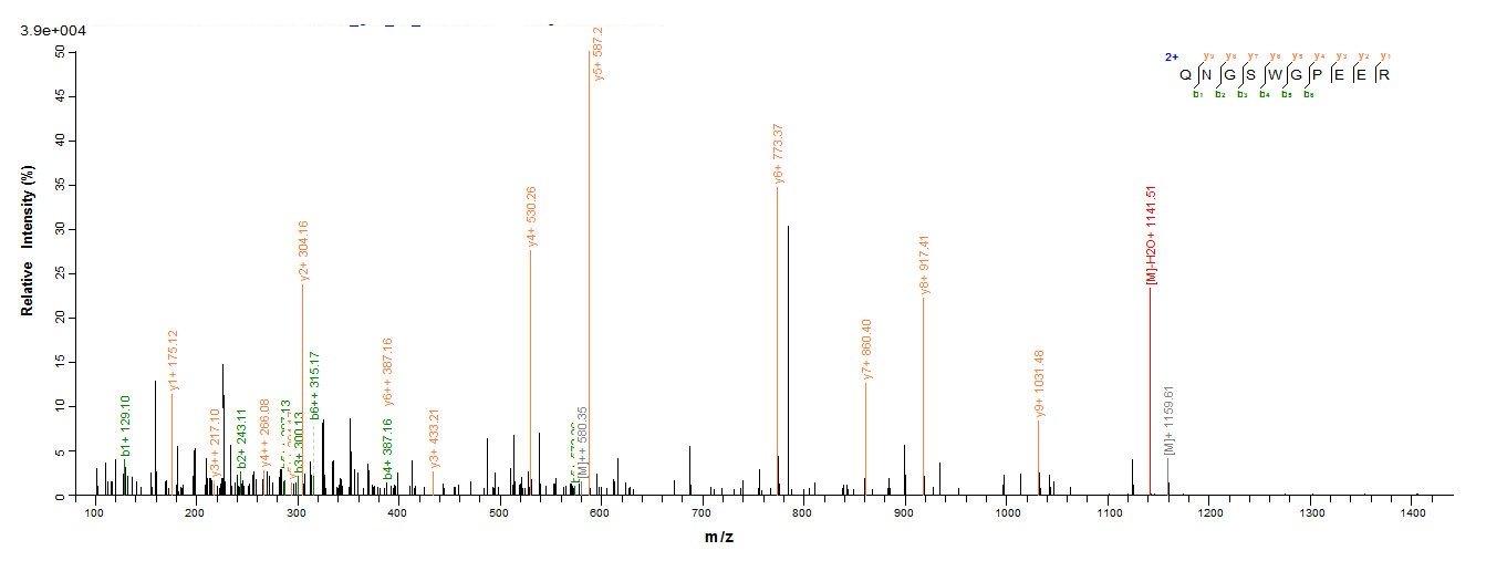 Human LGALS9 protein