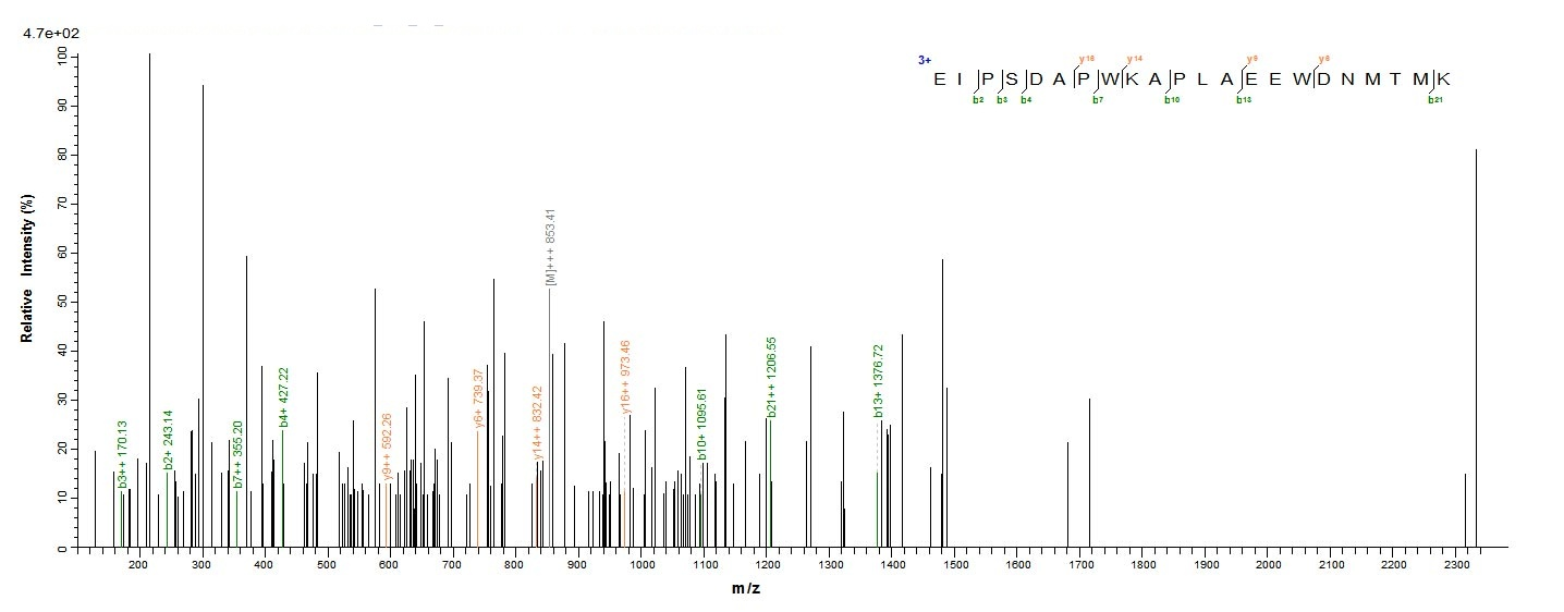 Human MAOB protein