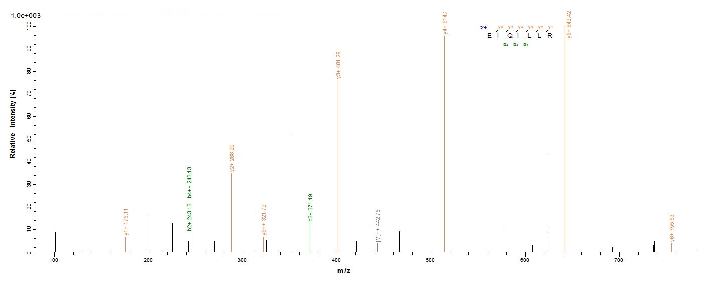 Human MAPK3 protein