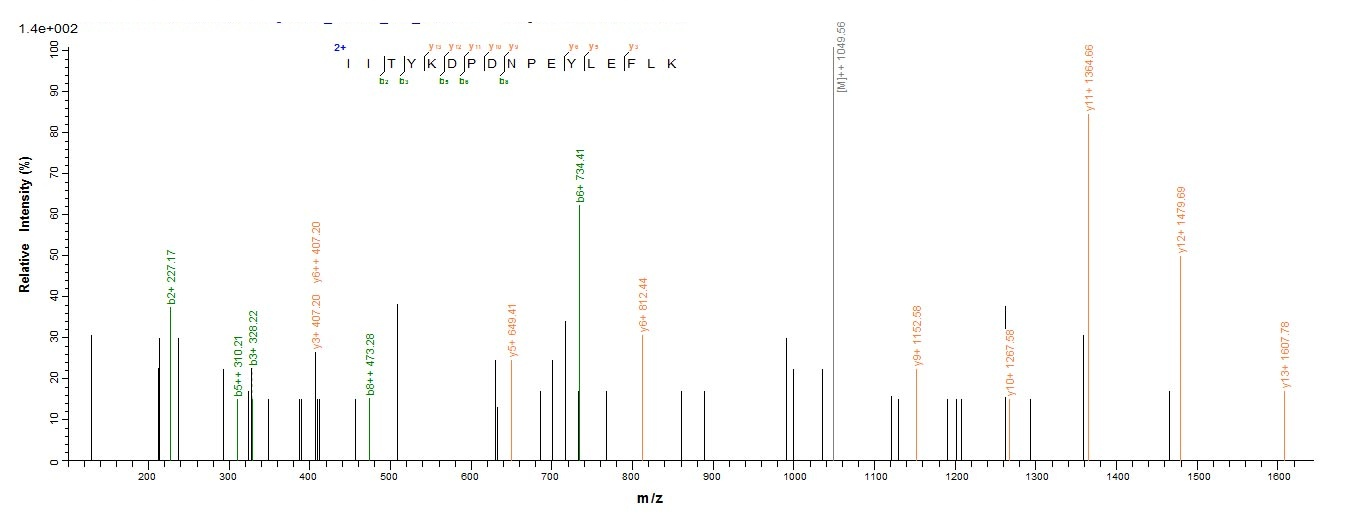 Human NPRA protein