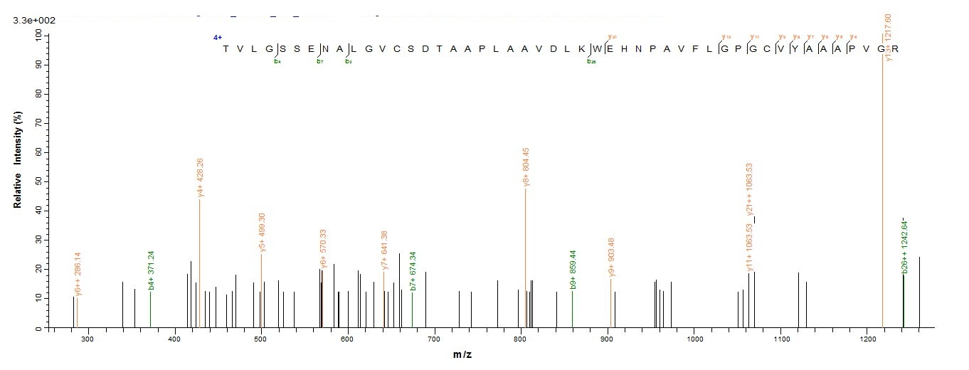 Human NPRA protein