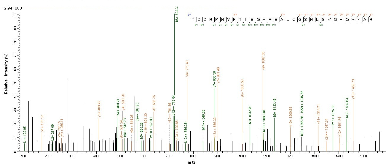 Human NPR2 protein
