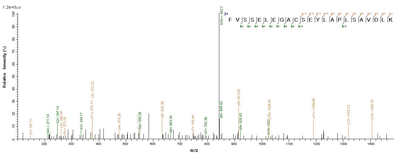 Human NPR2 protein