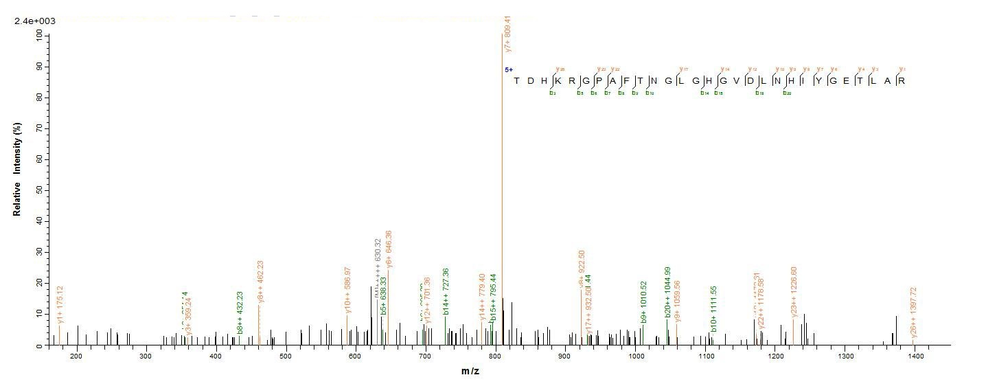 Human Cox2 protein