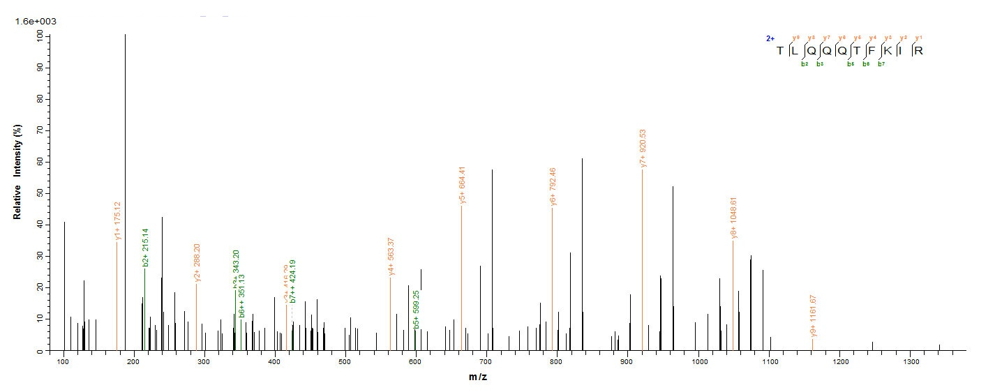 Human RAD23A protein
