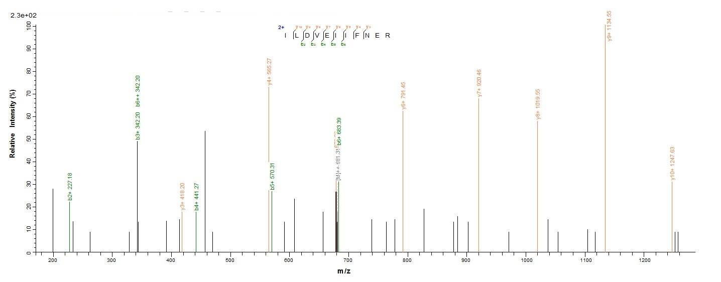 Human RBFOX2 protein