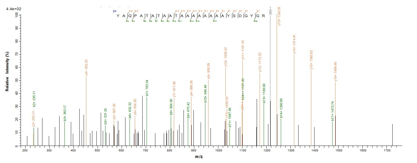 Human RBFOX2 protein