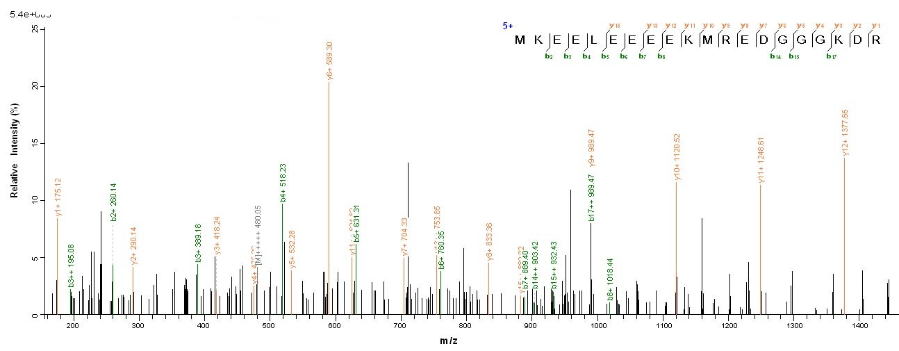 Human RHBDL2 protein