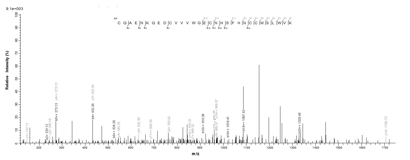 Human RNF7 protein