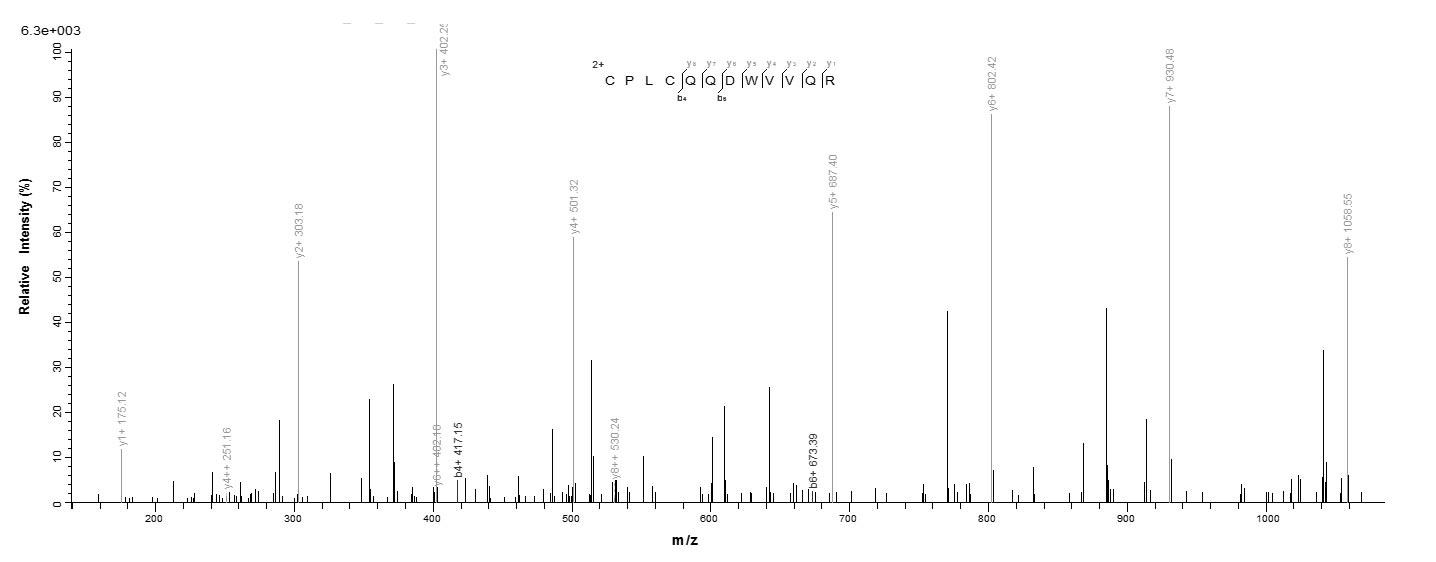 Human RNF7 protein