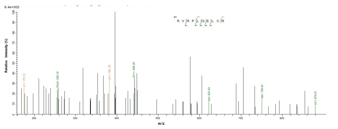 Human SOCS1 protein