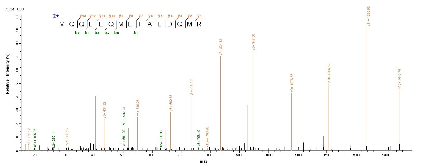 Human STAT3 protein