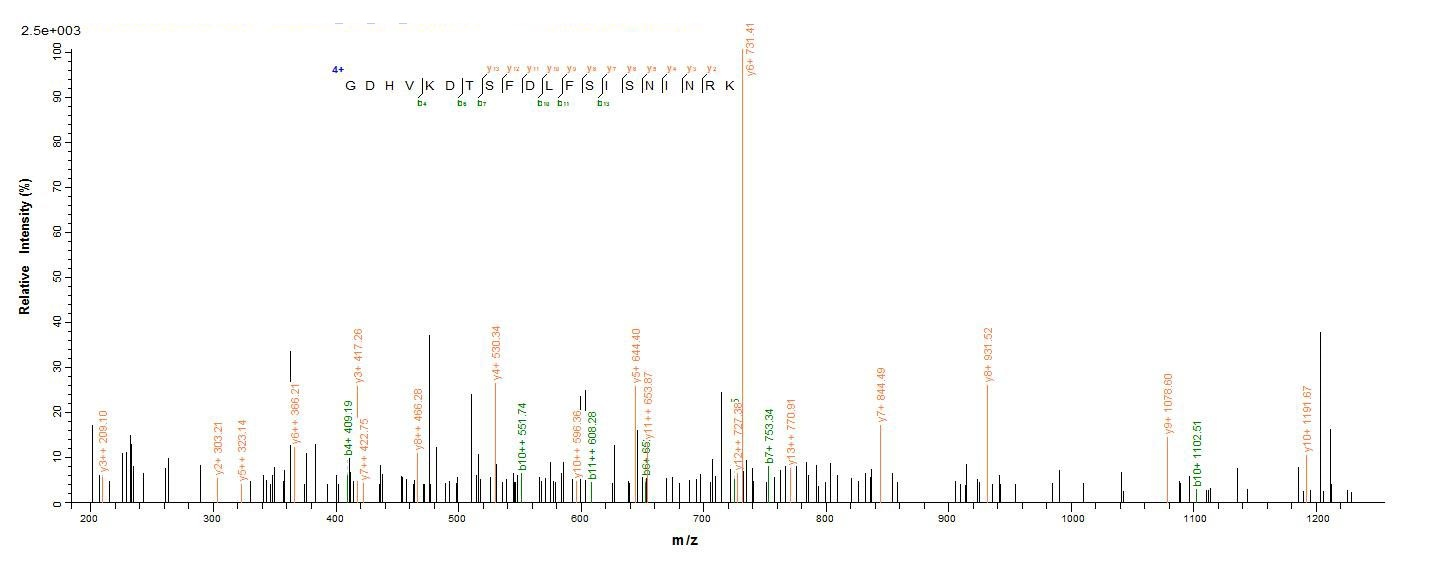 Mouse Thrombospondin 2 protein