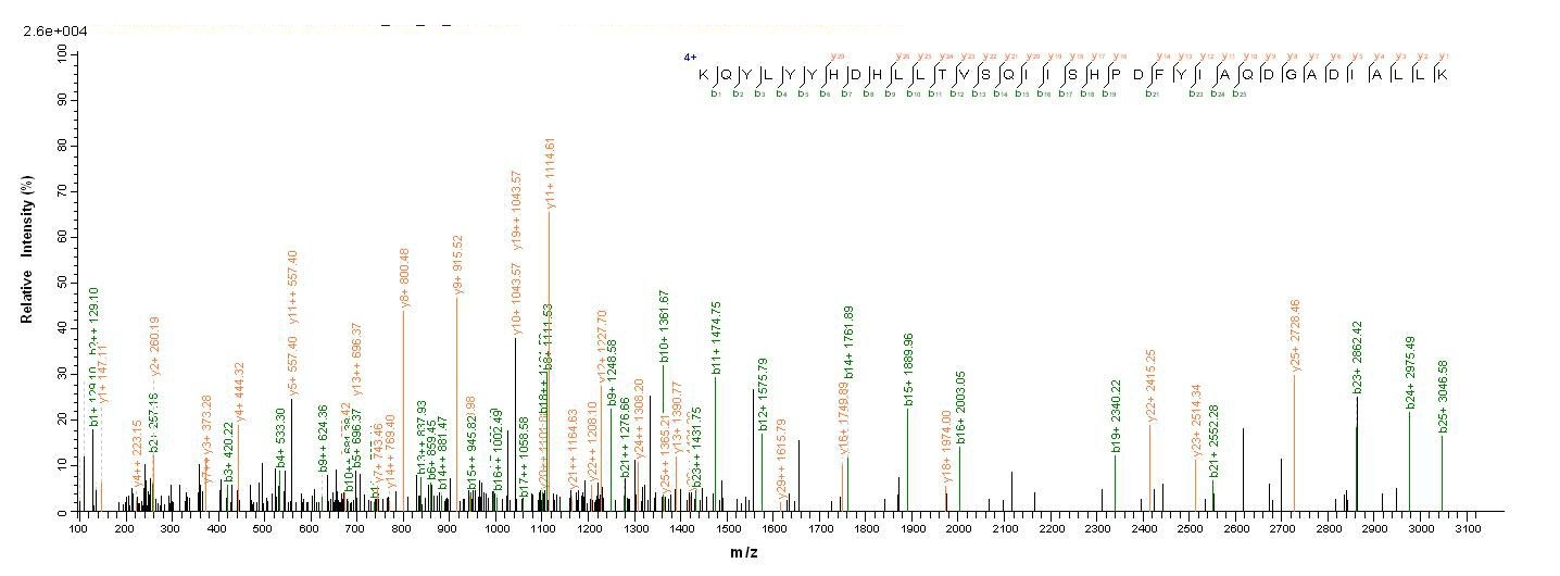 Mouse Tpsab1 protein