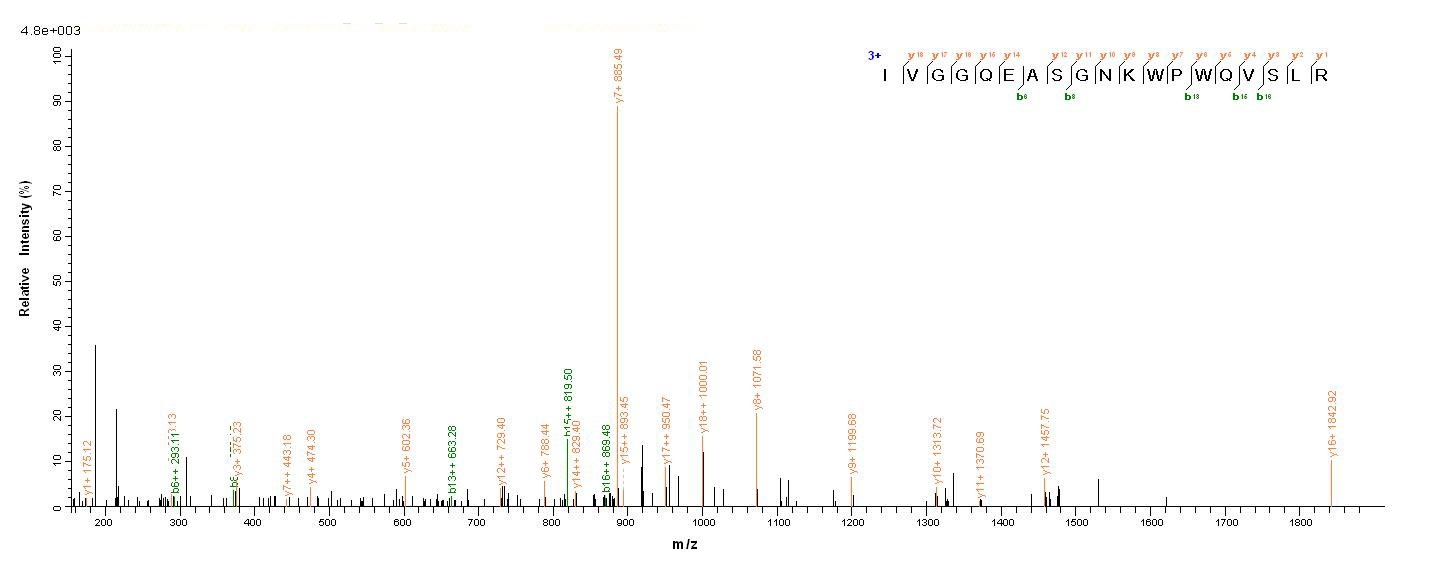 Mouse Tpsab1 protein