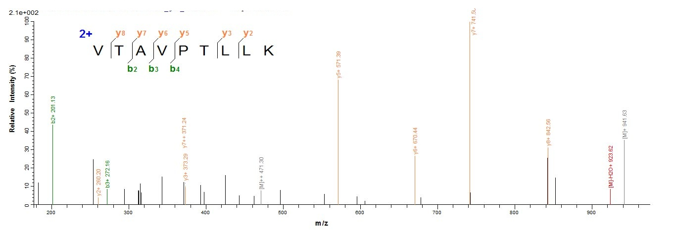 Human TXNDC17 protein