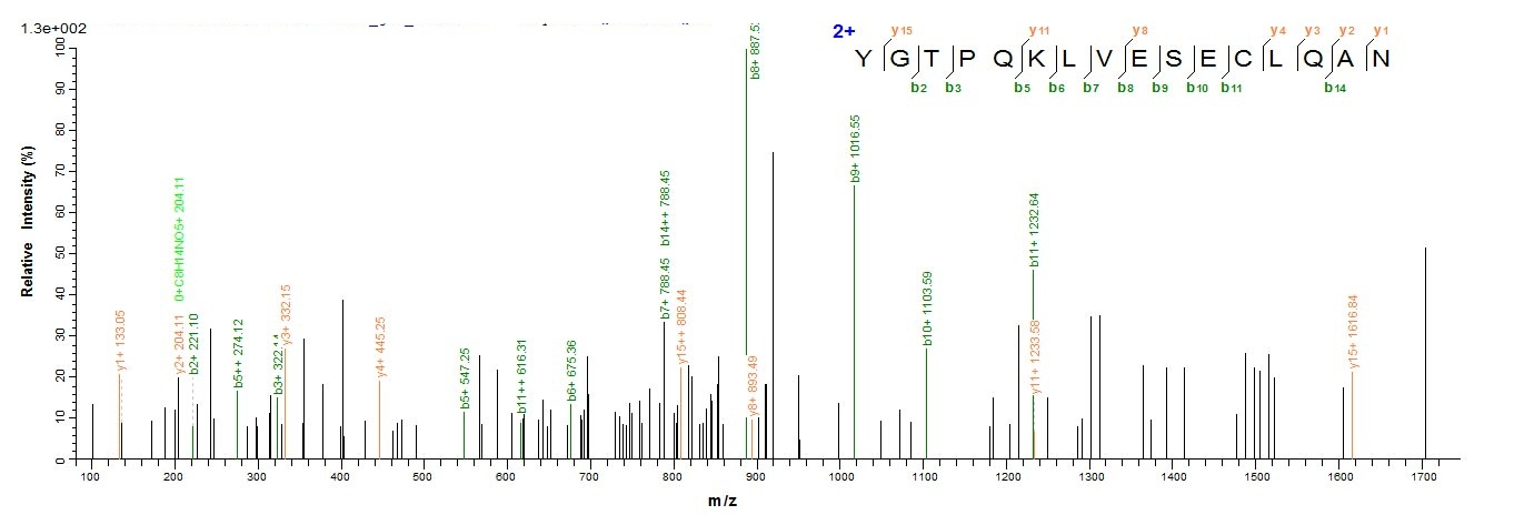 Human TXNDC17 protein