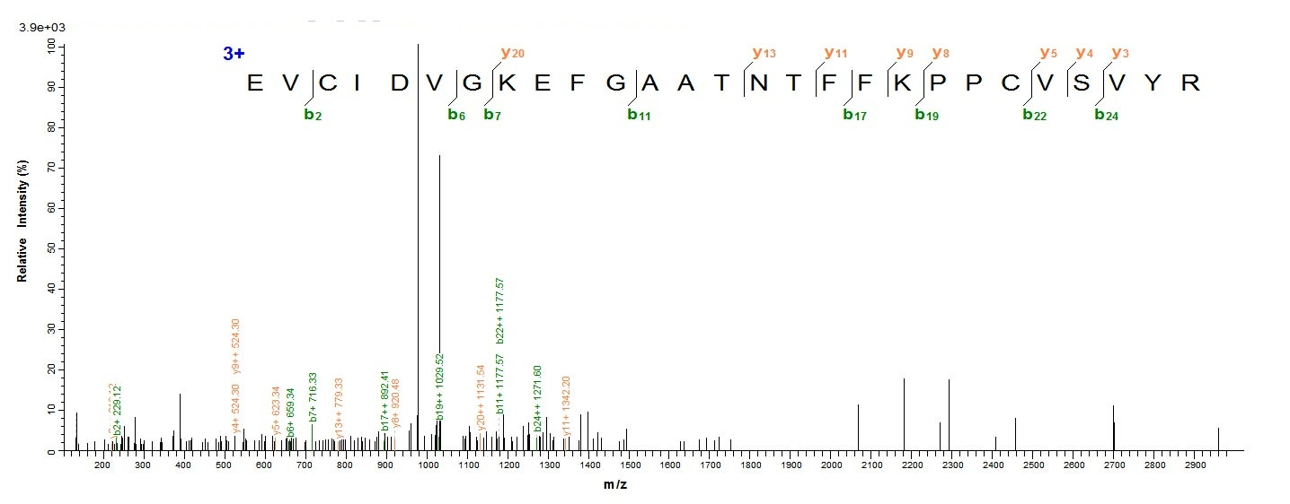 Mouse Vegfc protein