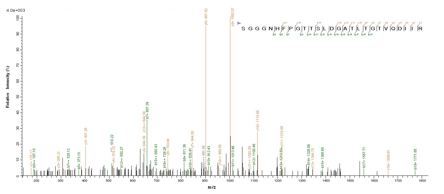 E.coli crnA protein