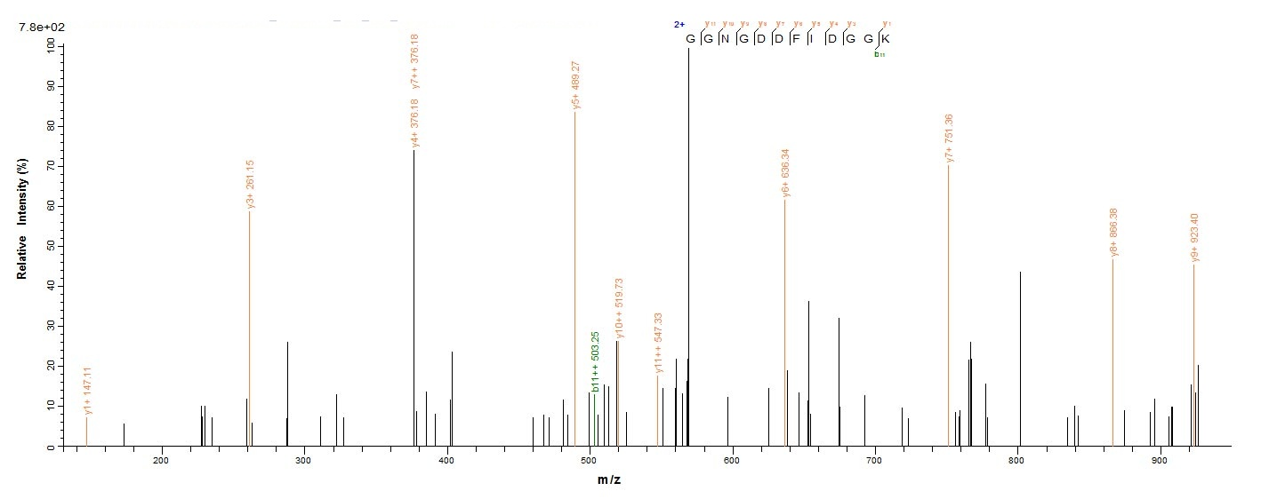 E.coli lktA protein