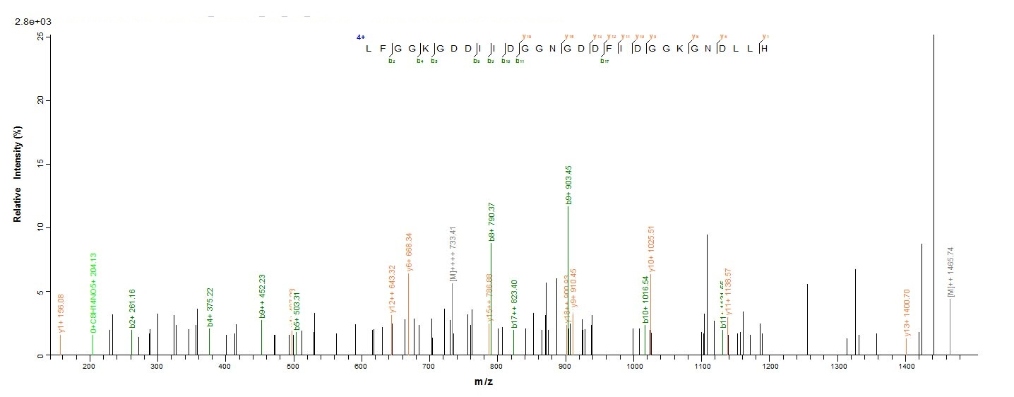 E.coli lktA protein