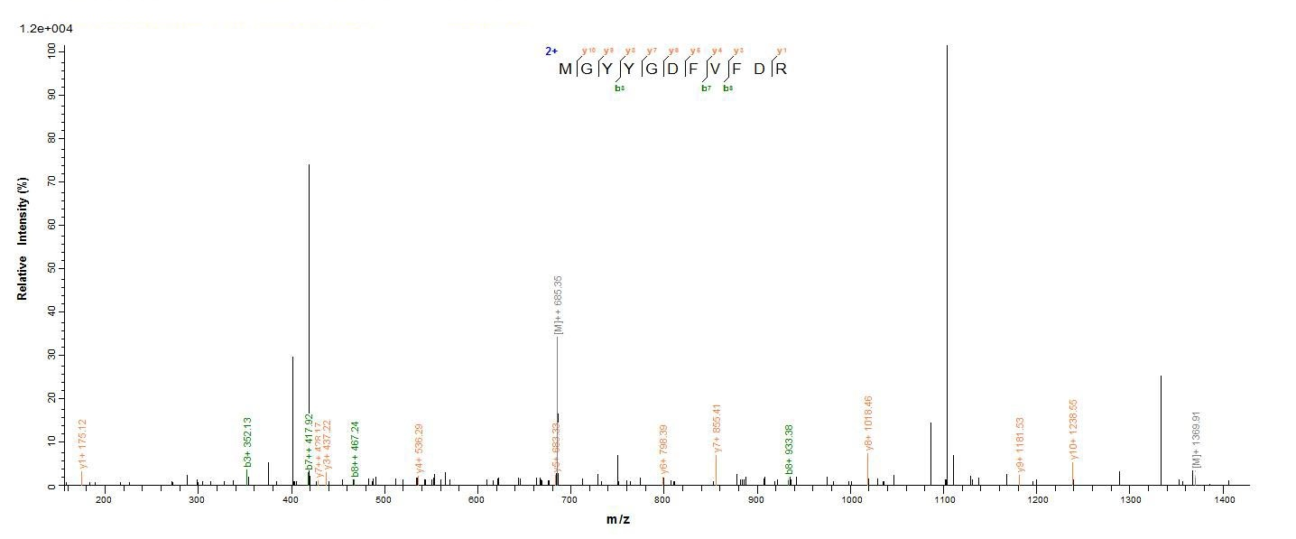 E.coli ompA protein