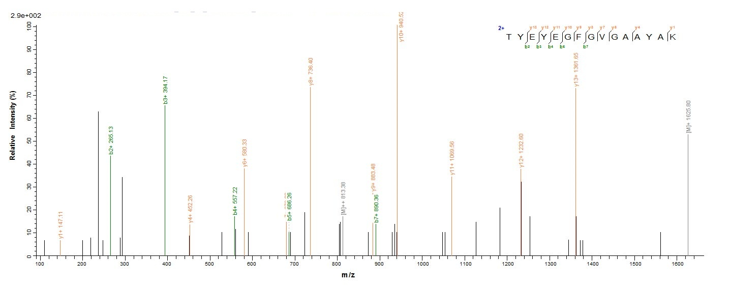Recombinant Salmonella typhimurium Outer membrane porin protein OmpD (ompD)
