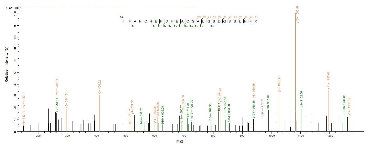 E.coli vacA protein