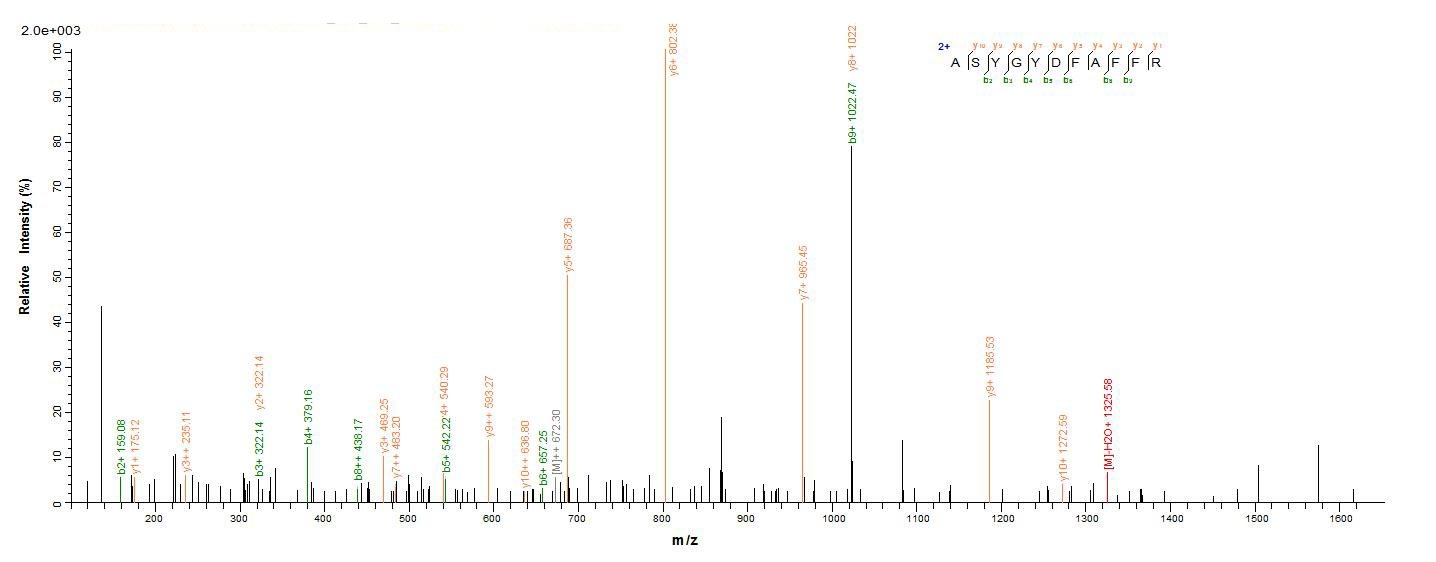 E.coli vacA protein