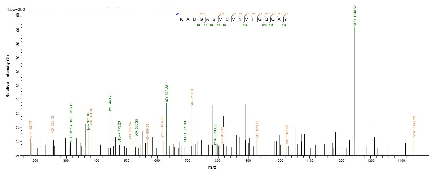 E.coli BALF5 protein