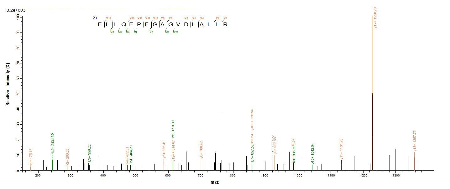 E.coli eta protein