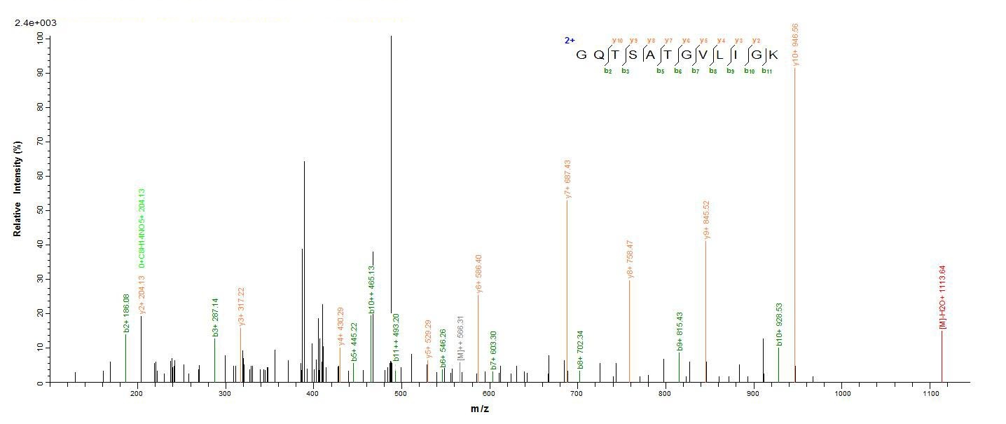 E.coli eta protein