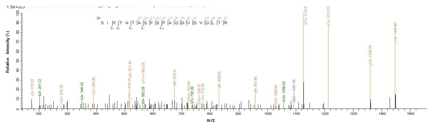 E. coli fimH protein