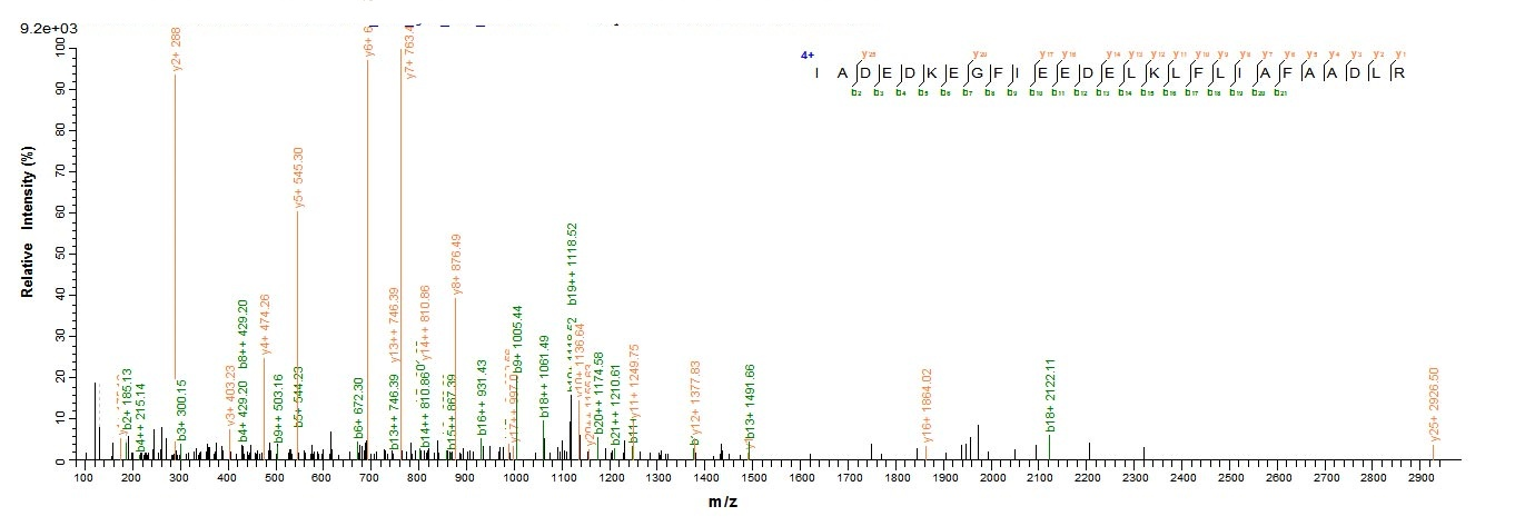 E.coli Parvalbumin beta protein