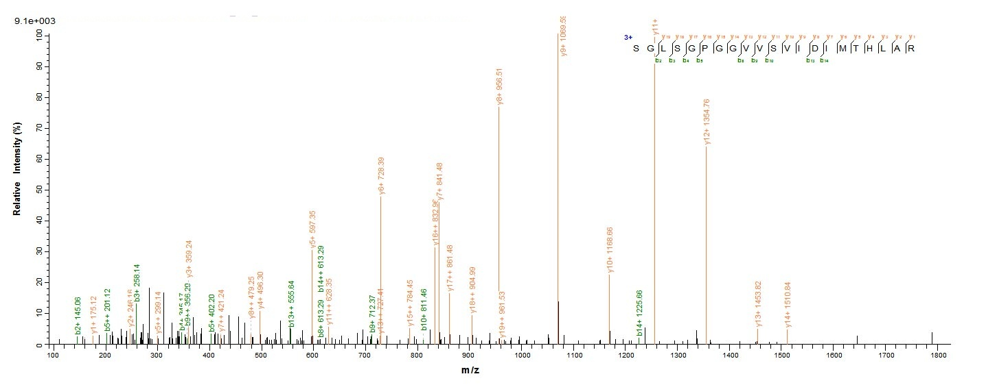 E.coli Dicer-like protein
