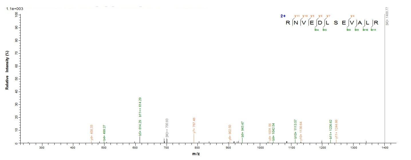 E. coli lldD protein