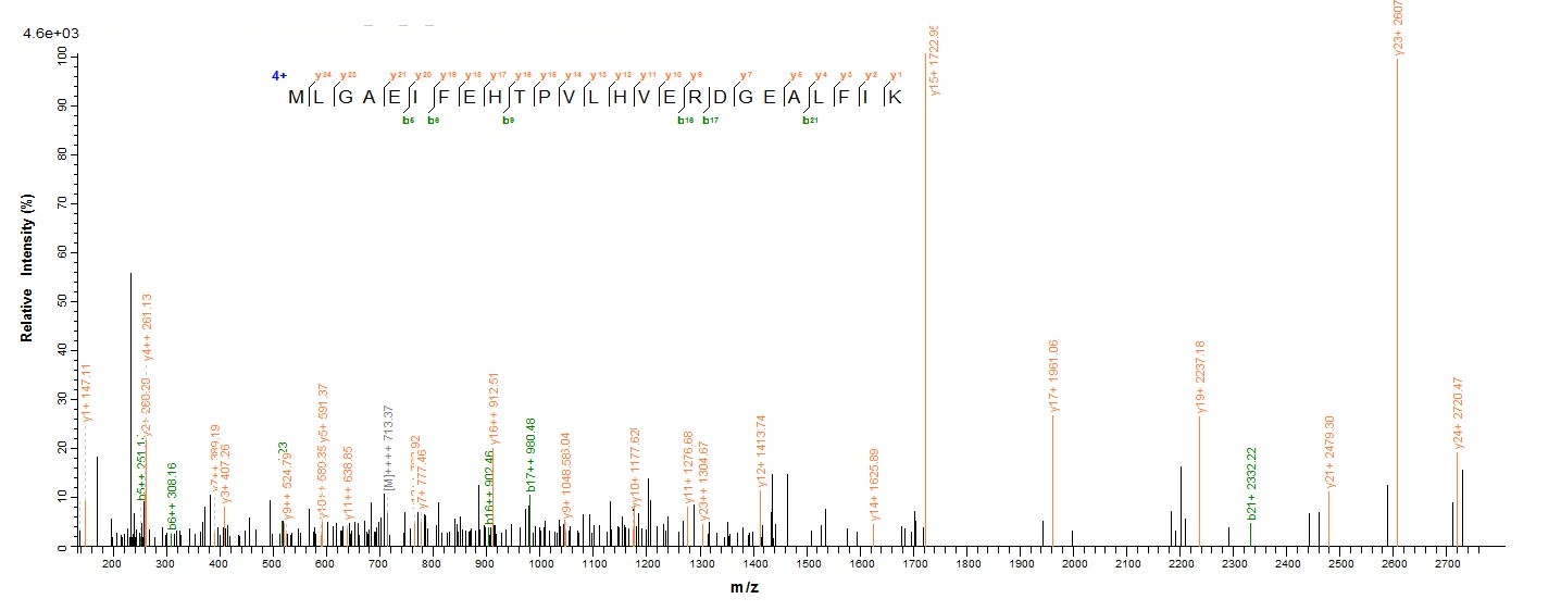 E.coli thiO protein