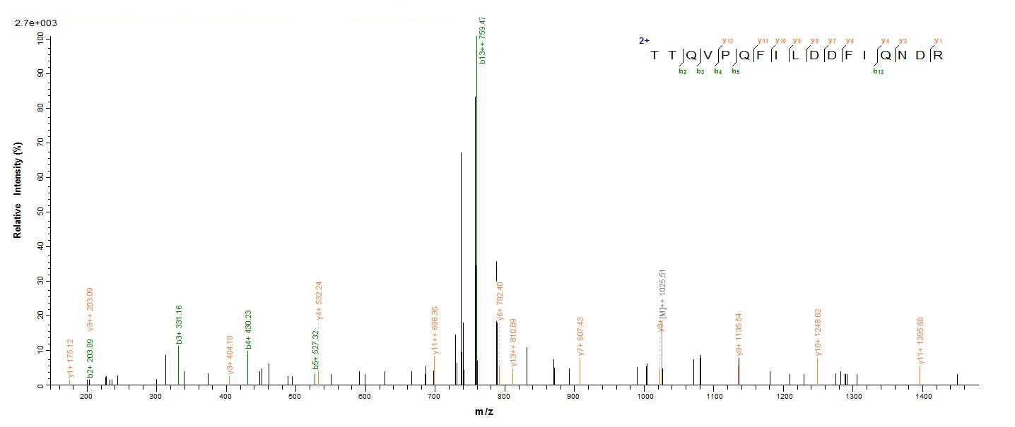 Human DHX9 protein