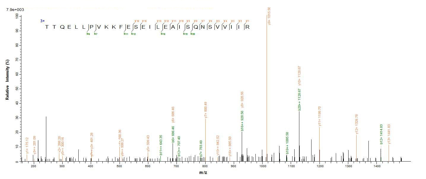Human DHX9 protein