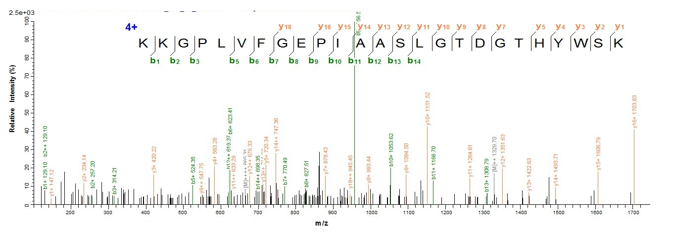 Human CRMP1 protein