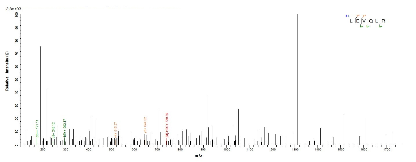 Human C19orf80 protein