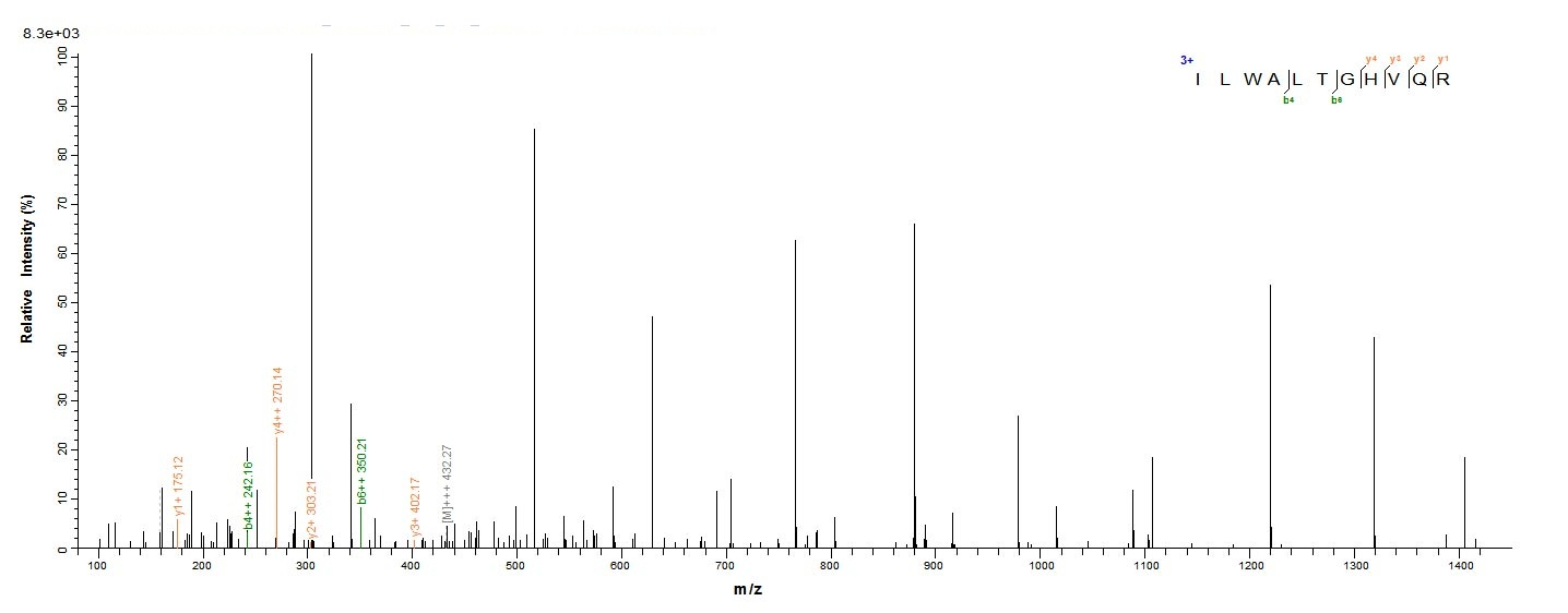 Human C19orf80 protein