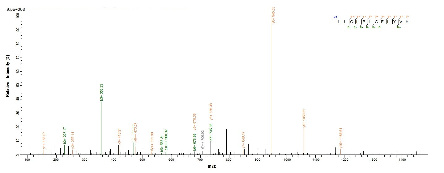 Human PGLYRP2 protein