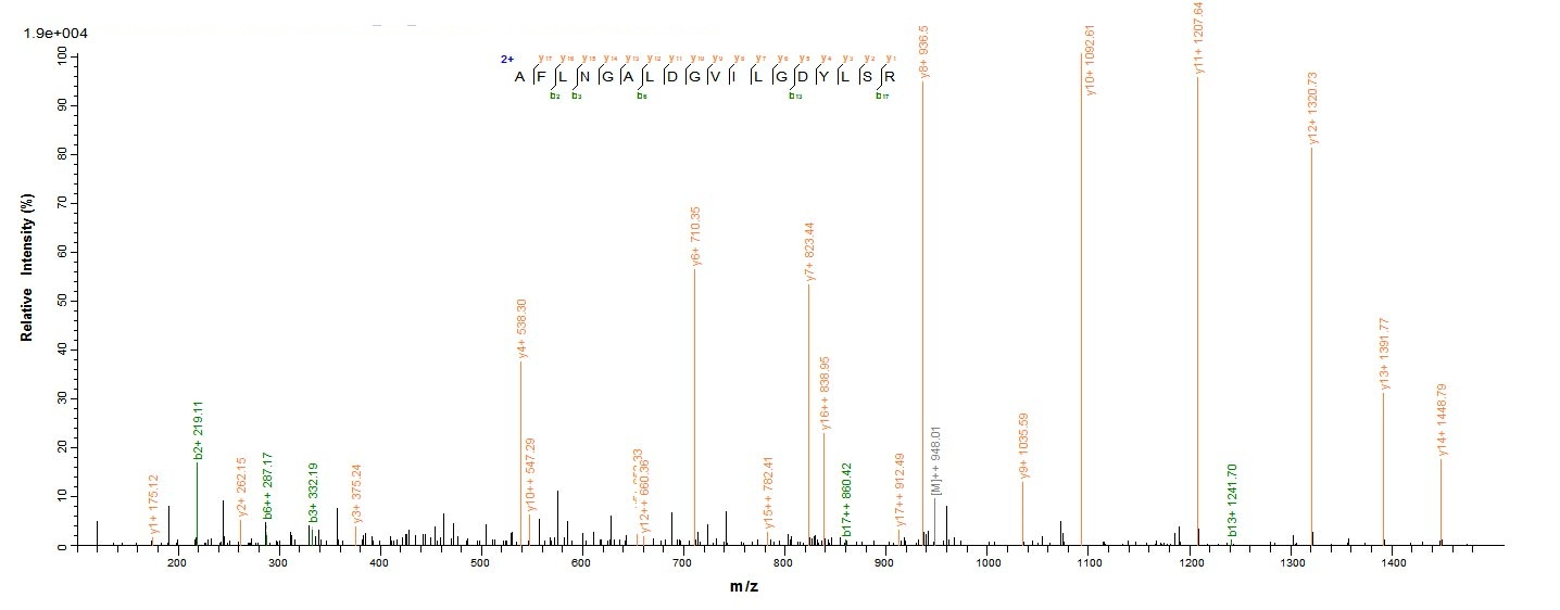 Human PGLYRP2 protein